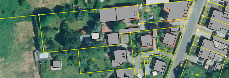 Liegenschaftskarte mit hinterlegtem DOP (mit Gebäudegrundrissen) © GeoBasis-DE/LVermGeo ST