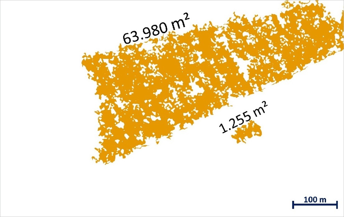 Bestimmung von Flächenanteilen © LVermGeo ST Bestimmung von Flächenanteilen © LVermGeo ST