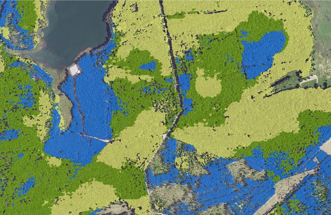 Walddetektion mit Unterscheidung in Laub- (gelb), Nadel- (blau) und Mischwaldflächen (grün) © LVermGeo ST Walddetektion mit Unterscheidung in Laub- (gelb), Nadel- (blau) und Mischwaldflächen (grün) © LVermGeo ST