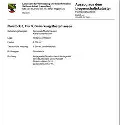 Auszug aus dem Liegenschaftskataster (beschreibender Teil) © LVermGeo