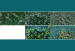 Abb. 1: Veranschaulichung einer Zeitreihe am Beispiel von Waldflächen bei Schierke (Harz), © Europäische  Union, enthält modifizierte Copernicus Sentinel-2 Daten [2018, 2020, 2023], verarbeitet durch das LVermGeo